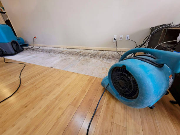 Professional Structural Drying technician working in Krum, TX